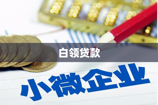 秀洲白领贷款