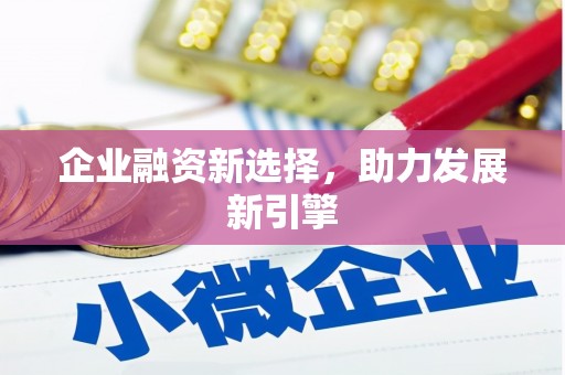 秀洲企业融资新选择，助力发展新引擎