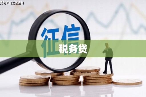 秀洲税务贷