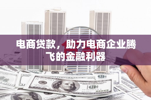 秀洲电商贷款，助力电商企业腾飞的金融利器