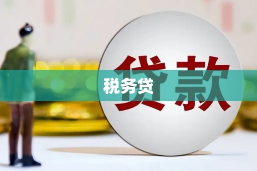 秀洲税务贷