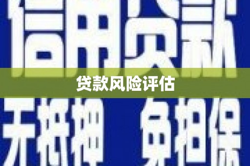 秀洲贷款风险评估
