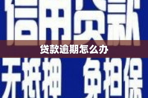 秀洲贷款逾期怎么办