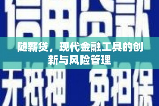 秀洲随薪贷，现代金融工具的创新与风险管理