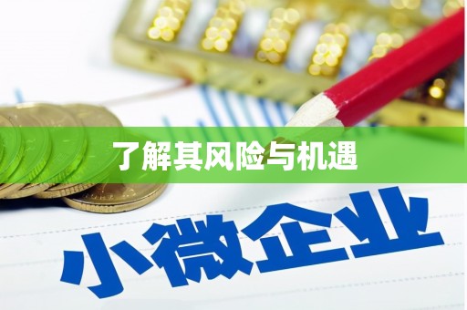 秀洲了解其风险与机遇