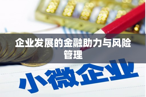 秀洲企业发展的金融助力与风险管理