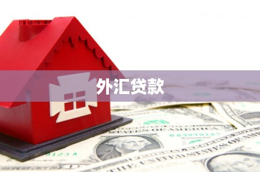 秀洲外汇贷款