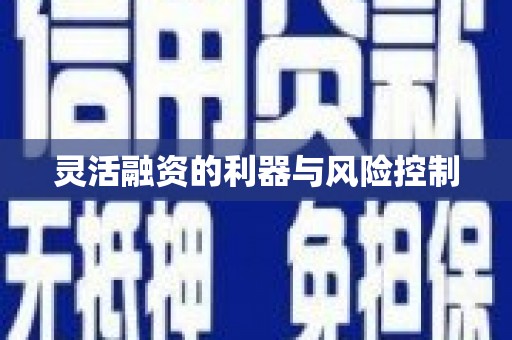 秀洲灵活融资的利器与风险控制