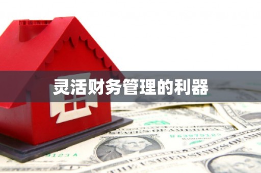 秀洲灵活财务管理的利器