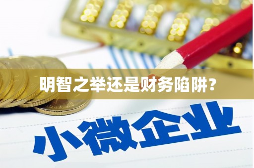 秀洲明智之举还是财务陷阱？