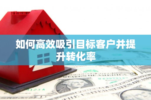 秀洲如何高效吸引目标客户并提升转化率