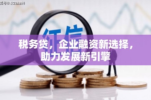 秀洲税务贷，企业融资新选择，助力发展新引擎
