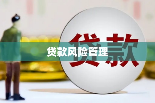 秀洲贷款风险管理