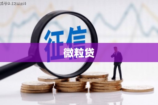 秀洲微粒贷