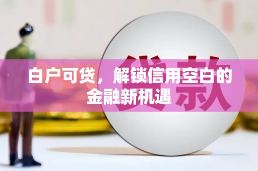 秀洲白户可贷，解锁信用空白的金融新机遇