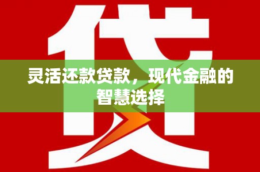 秀洲灵活还款贷款，现代金融的智慧选择