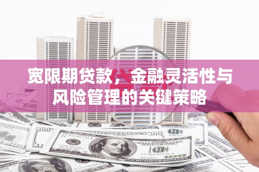 秀洲宽限期贷款，金融灵活性与风险管理的关键策略