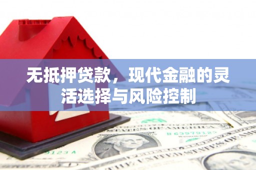 秀洲无抵押贷款，现代金融的灵活选择与风险控制