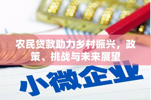 秀洲农民贷款助力乡村振兴，政策、挑战与未来展望