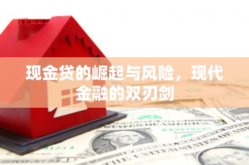 秀洲现金贷的崛起与风险，现代金融的双刃剑