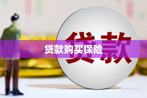 秀洲贷款购买保险