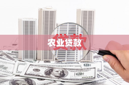 秀洲农业贷款