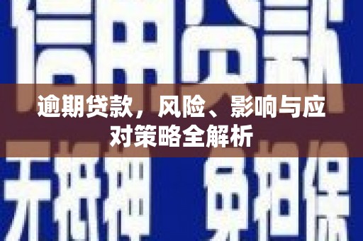秀洲逾期贷款，风险、影响与应对策略全解析