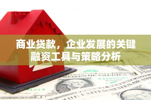 秀洲商业贷款，企业发展的关键融资工具与策略分析