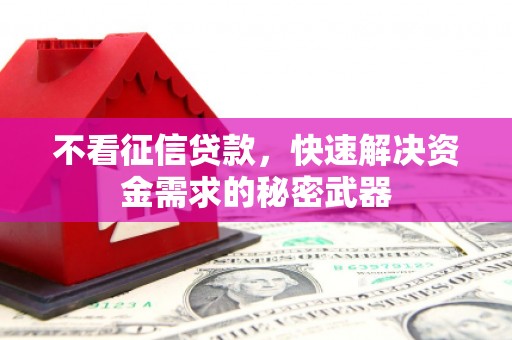 秀洲不看征信贷款，快速解决资金需求的秘密武器