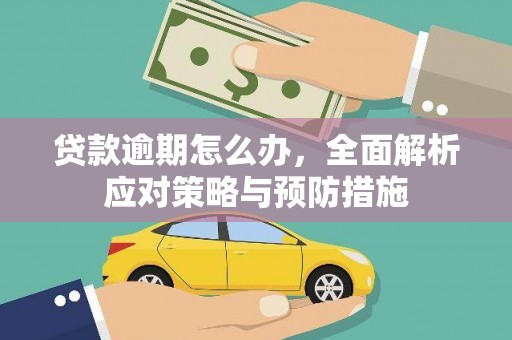 秀洲贷款逾期怎么办，全面解析应对策略与预防措施
