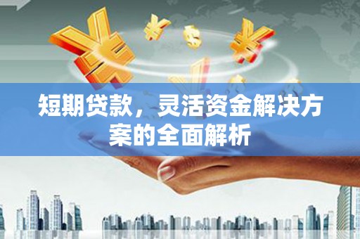 秀洲短期贷款，灵活资金解决方案的全面解析