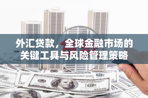 秀洲外汇贷款，全球金融市场的关键工具与风险管理策略