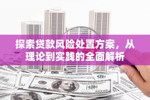 秀洲探索贷款风险处置方案，从理论到实践的全面解析