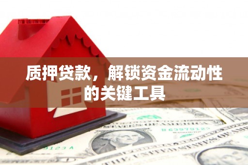秀洲质押贷款，解锁资金流动性的关键工具