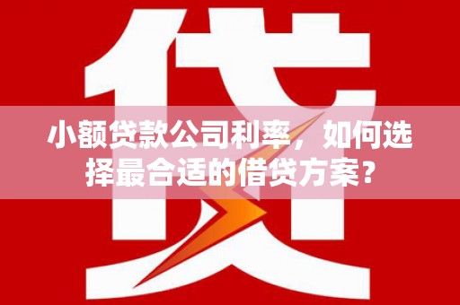 秀洲小额贷款公司利率，如何选择最合适的借贷方案？
