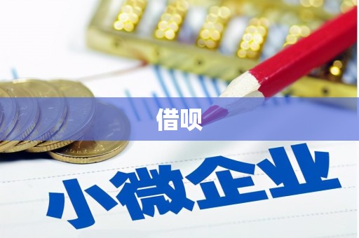 秀洲借呗