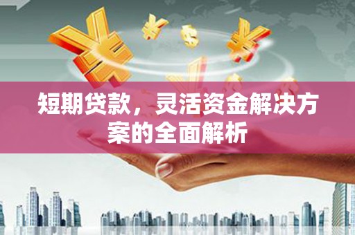 秀洲短期贷款，灵活资金解决方案的全面解析