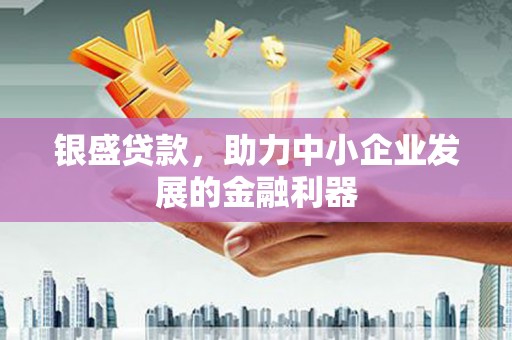 秀洲银盛贷款，助力中小企业发展的金融利器