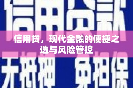 秀洲信用贷，现代金融的便捷之选与风险管控