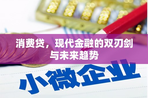 秀洲消费贷，现代金融的双刃剑与未来趋势