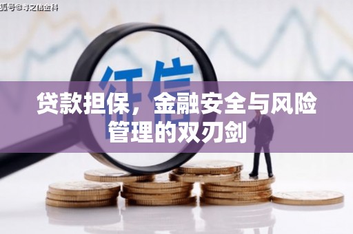 秀洲贷款担保，金融安全与风险管理的双刃剑