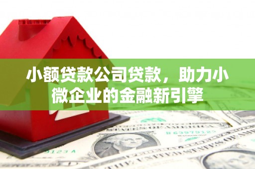 秀洲小额贷款公司贷款，助力小微企业的金融新引擎
