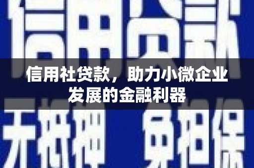秀洲信用社贷款，助力小微企业发展的金融利器