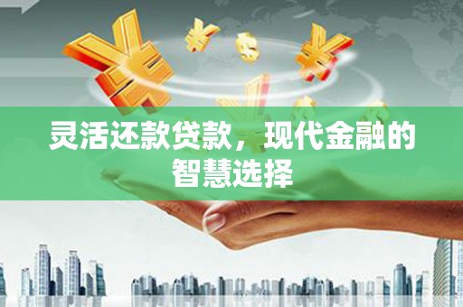 秀洲灵活还款贷款，现代金融的智慧选择