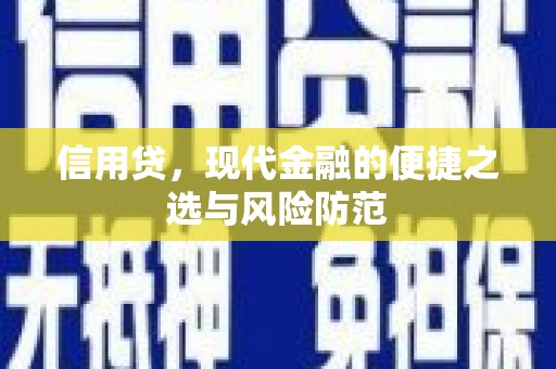 秀洲信用贷，现代金融的便捷之选与风险防范