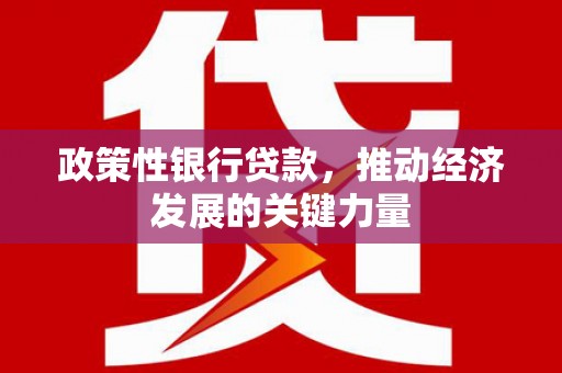 秀洲政策性银行贷款，推动经济发展的关键力量
