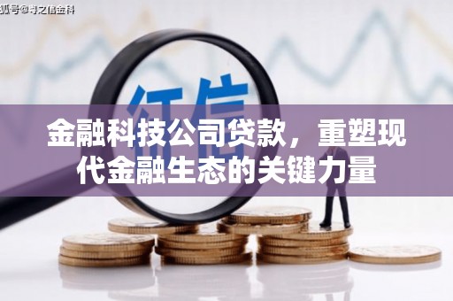 秀洲金融科技公司贷款，重塑现代金融生态的关键力量