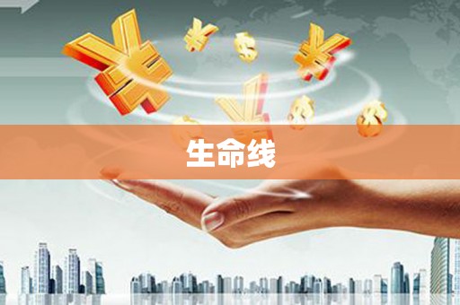 秀洲生命线