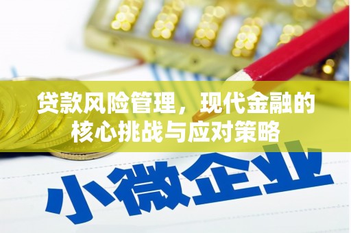 秀洲贷款风险管理，现代金融的核心挑战与应对策略