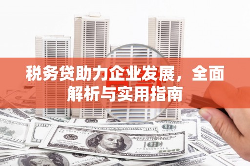 秀洲税务贷助力企业发展，全面解析与实用指南